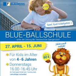 Info Blue Ballschule